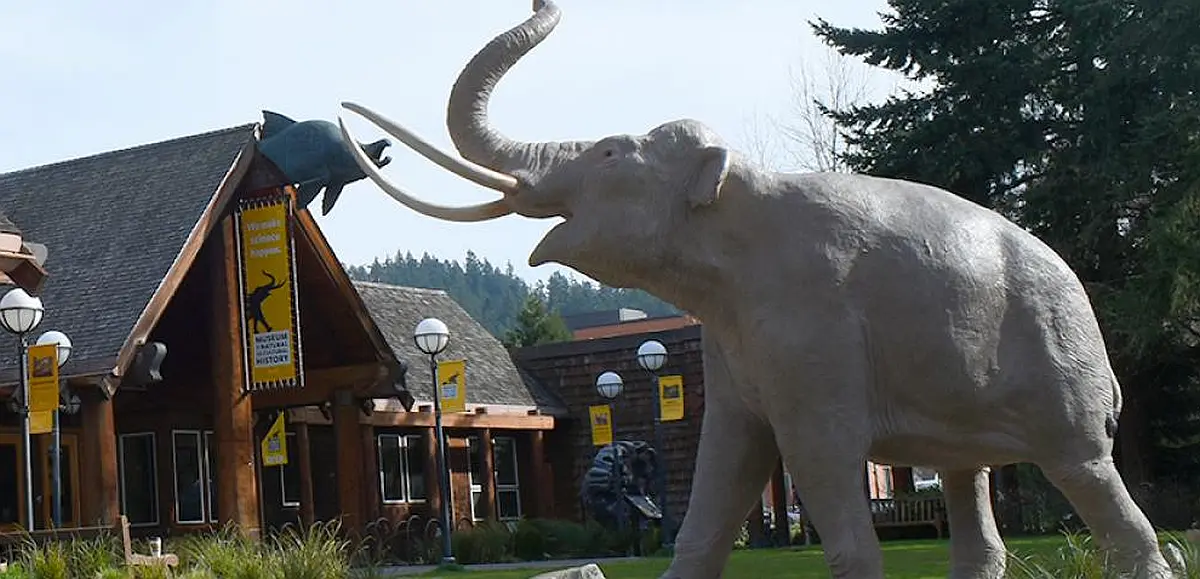 Museum of Natural and Cultural History